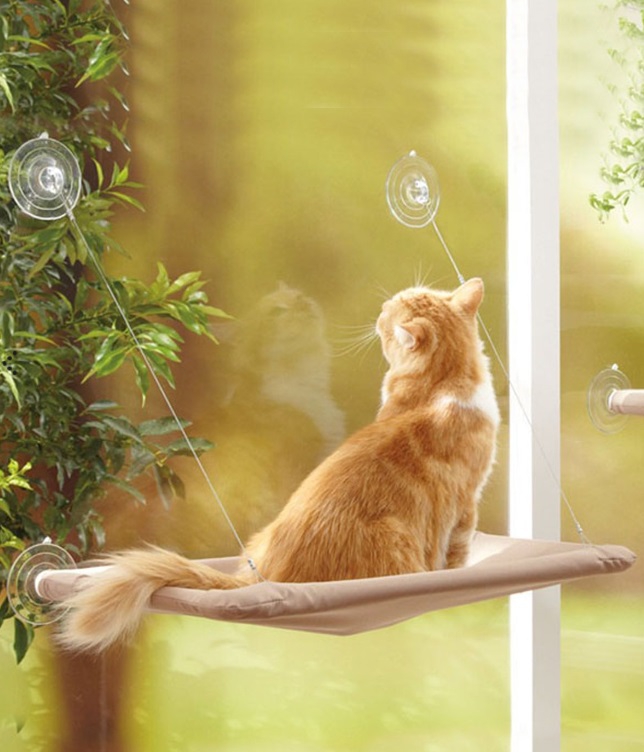 Cama Yapışan Kedi Yatağı