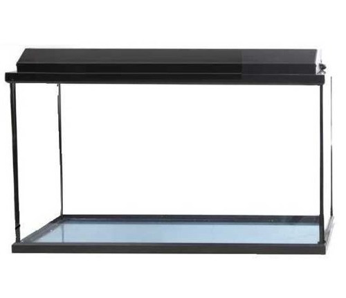 www.aquahomepetshop.com