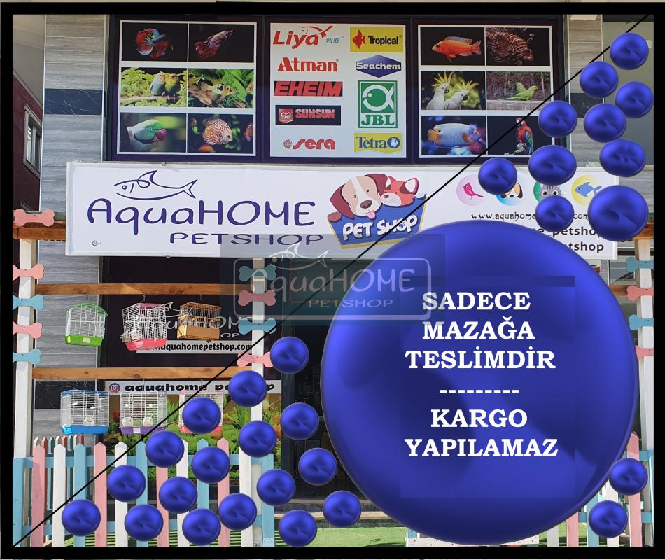40 cm IŞIKLI ALÜMİNYUM KAPAK AKVARYUM - BEYAZ