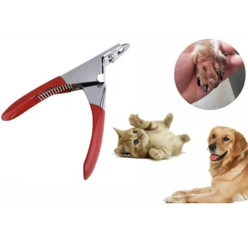 Kedi ve Köpek Dik Tırnak Makası
