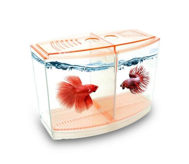Beta Kabı Akvaryumu 9x19x14 cm - Karışık Renk