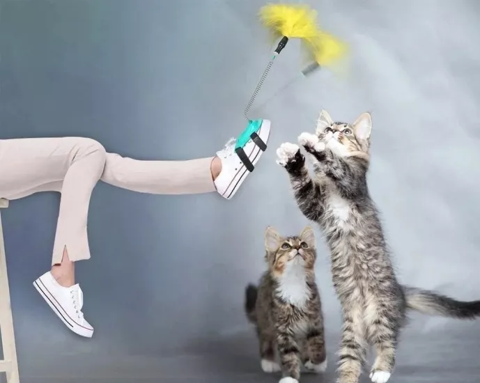 Ayağa Takılan Kedi Oltası