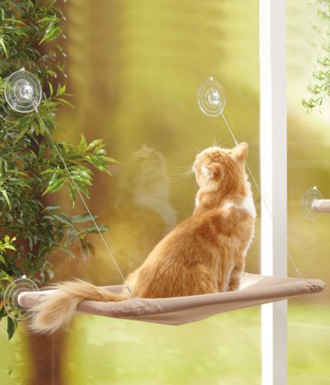 Cama Yapışan Kedi Yatağı