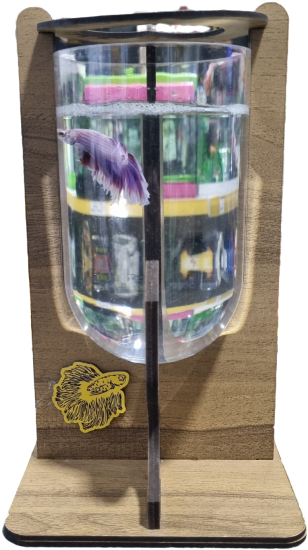 BETTA (BETA) AKVARYUMU - AHŞAP