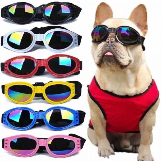 Kedi Köpek Sport Gözlük - Stok Durumuna Göre Renk