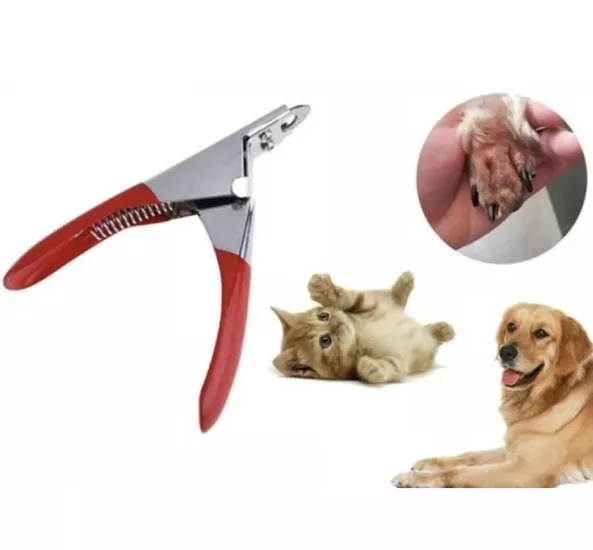 Kedi ve Köpek Dik Tırnak Makası