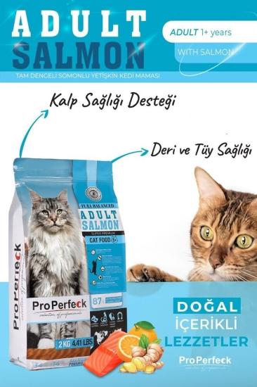 YETKİLİ SATICI - PREMİUM YETİŞKİN SOMONLU PORTAKALLI KEDİ MAMASI 10 KG
